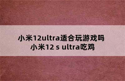 小米12ultra适合玩游戏吗 小米12 s ultra吃鸡